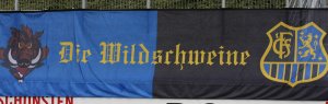 Die Wildschweine