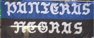 Panteras Negras