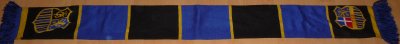 FCS-Schal (2)